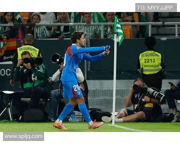 马德里体育会与拿玻李的精彩对决揭示西甲联赛的激烈竞争与球队实力较量